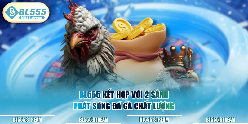 BL555 kết hợp với 2 sảnh phát sóng đá gà chất lượng