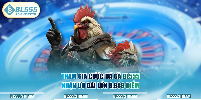Tham gia cược đá gà BL555 nhận ưu đãi lớn 8,888 điểm
