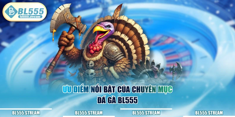 Ưu điểm nổi bật của chuyên mục đá gà BL555
