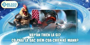 Vảy Án Thiên Là Gì? Có Phải Là Đặc Điểm Của Chiến Kê Mạnh?