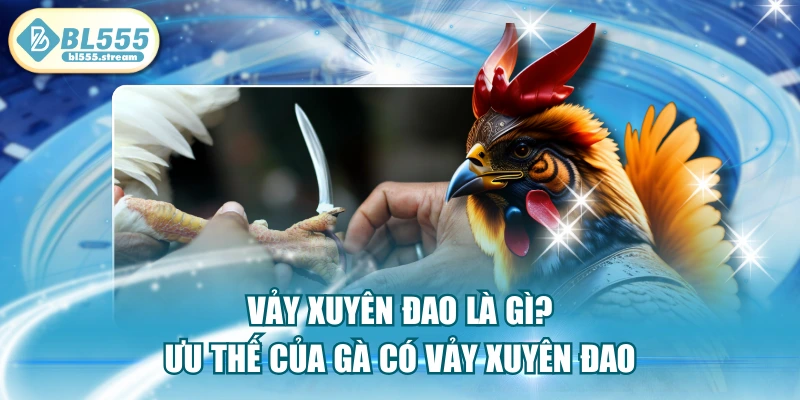 Vảy Xuyên Đao Là Gì? Ưu Thế Của Gà Có Vảy Xuyên Đao