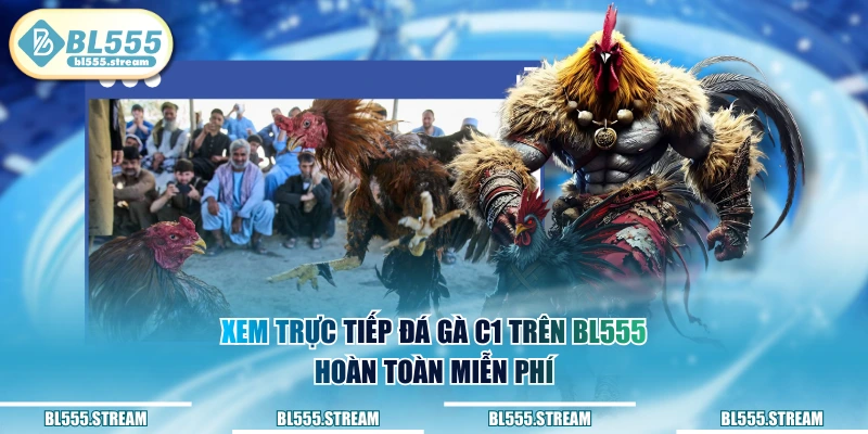 Xem trực tiếp đá gà C1 trên BL555 hoàn toàn miễn phí